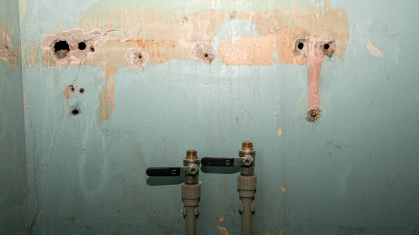 Best Commercial water damage restoration  in Cumberland, KY